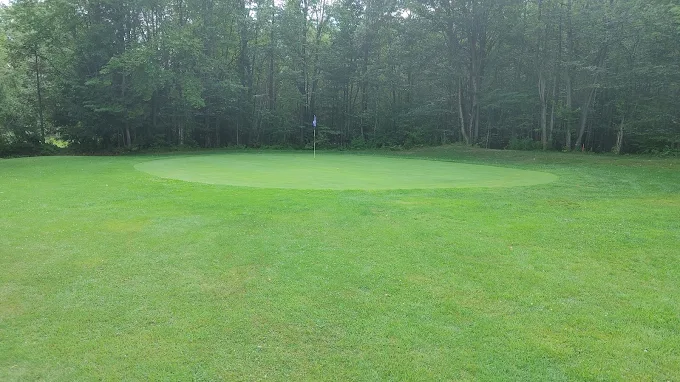 Vert de golf du Club de Golf Monty à Drummondville, Québec
